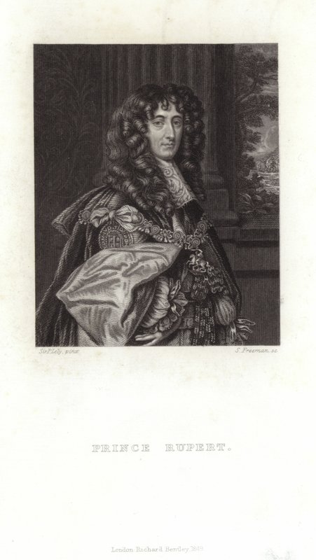 Prinssi Rupert tekijältä Peter Lely