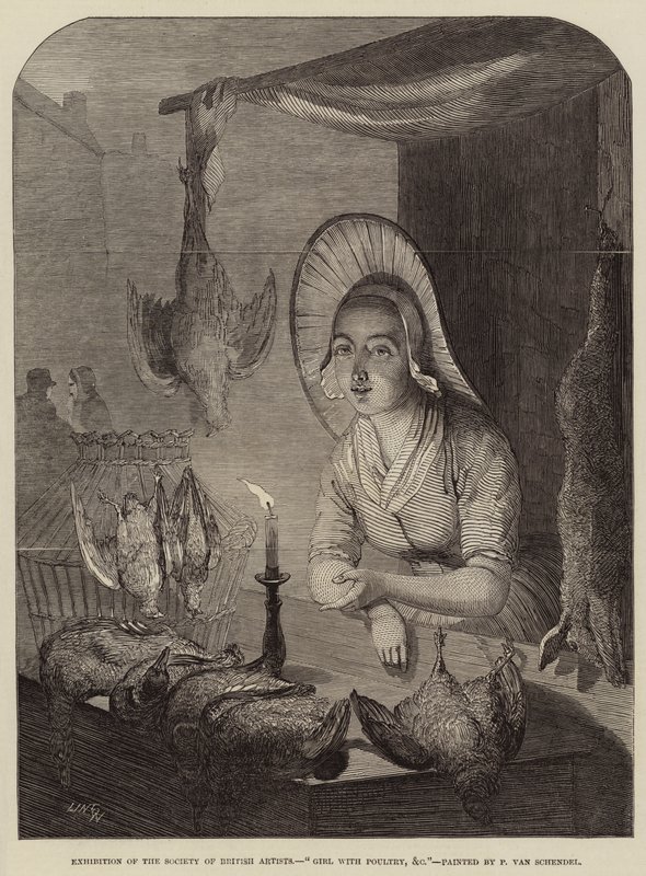 Tyttö siipikarjan kanssa jne tekijältä Petrus van Schendel