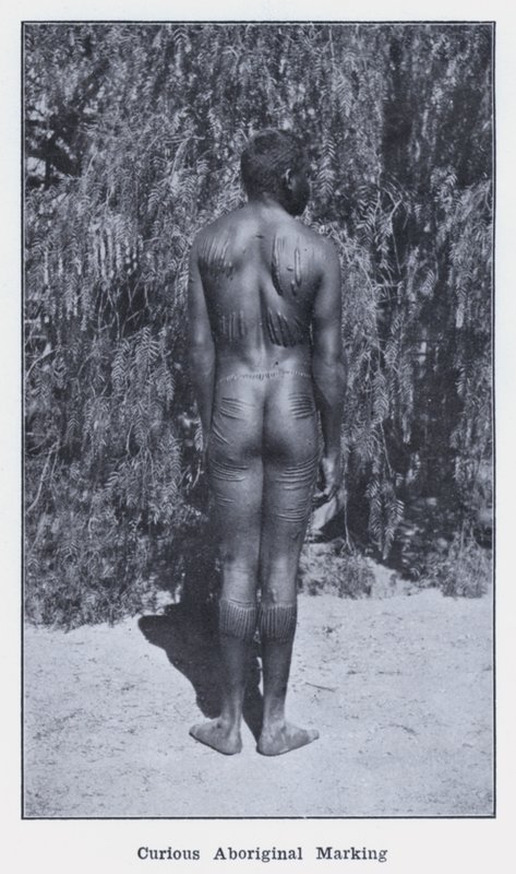 Utelias aboriginaalimerkintä (m/w kuva) tekijältä Photographer Australian