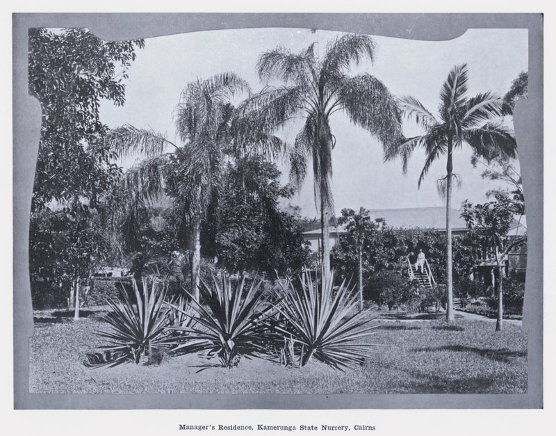 Johtajan asuinpaikka, Kamerunga State Nursery, Cairns (m/v kuva) tekijältä Photographer Australian