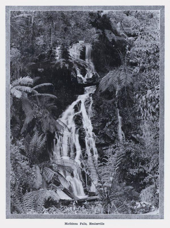 Mathinna Falls, Healesville (m/w kuva) tekijältä Photographer Australian