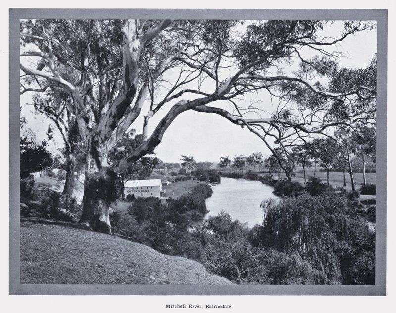 Mitchell River, Bairnsdale (m/w kuva) tekijältä Photographer Australian