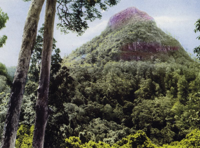 Queensland, Australia: Mt Cordeaux (kuvassa) tekijältä Photographer Australian
