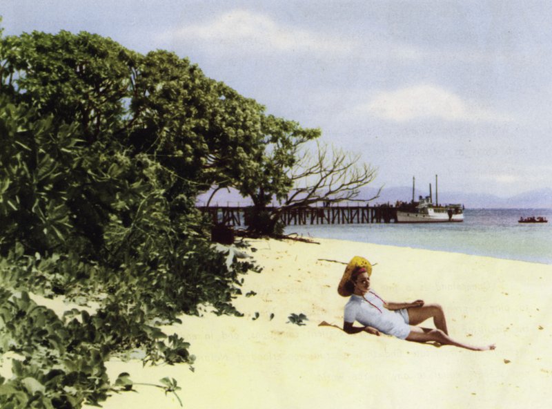 Queensland, Australia: Tropical Beach (kuva) tekijältä Photographer Australian