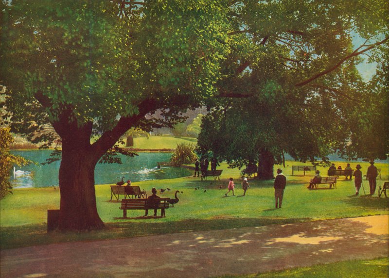 Kasvitieteellinen puutarha, Melbourne (värivalokuva) tekijältä Photographer Australian