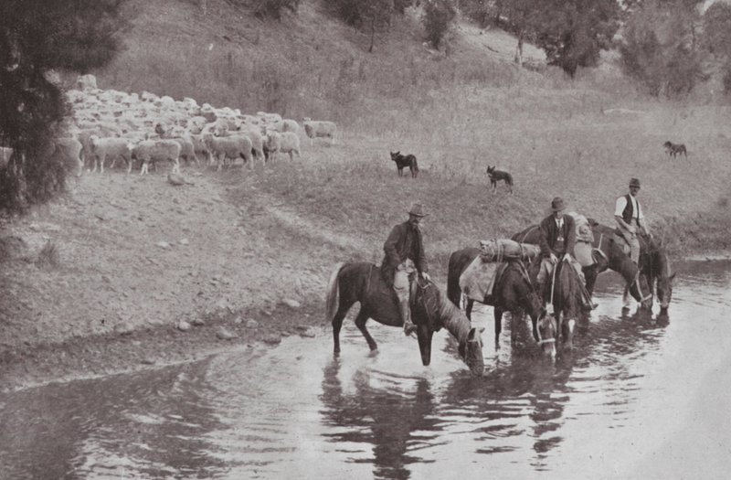 Loput, tyypilliset australialaiset Stockmen (m/w kuva) tekijältä Photographer Australian