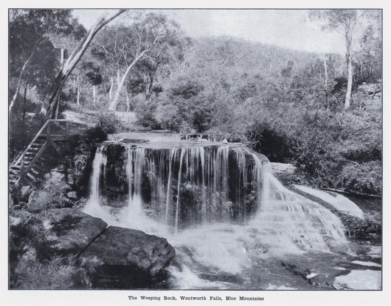 Weeping Rock, Wentworth Falls, Blue Mountains (m/w kuva) tekijältä Photographer Australian