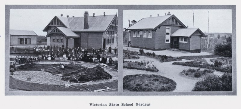 Victorian State School Gardens (m/w kuva) tekijältä Photographer Australian