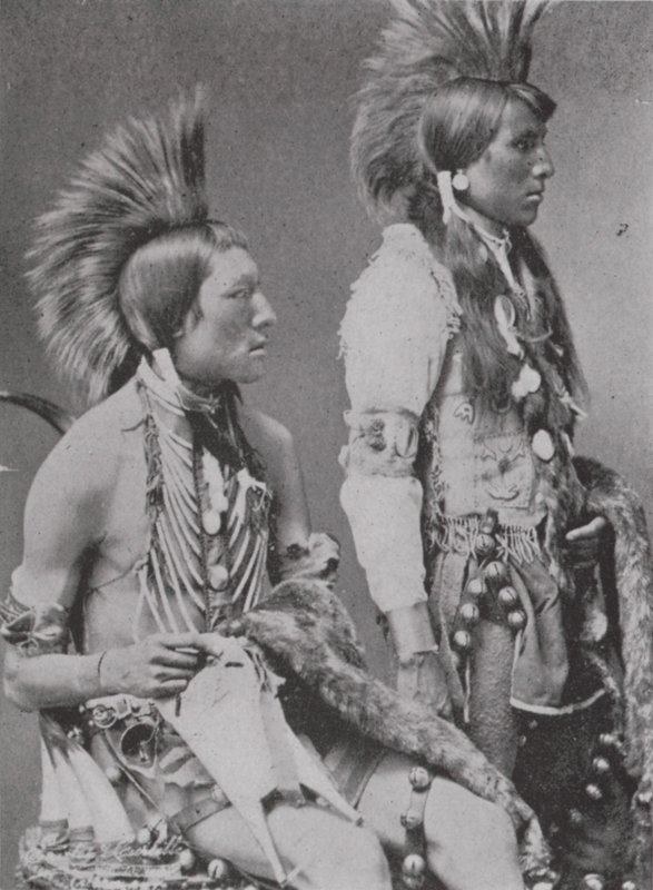 Kaksi Blackfoot Bravea (m/w kuva) tekijältä Photographer Canadian