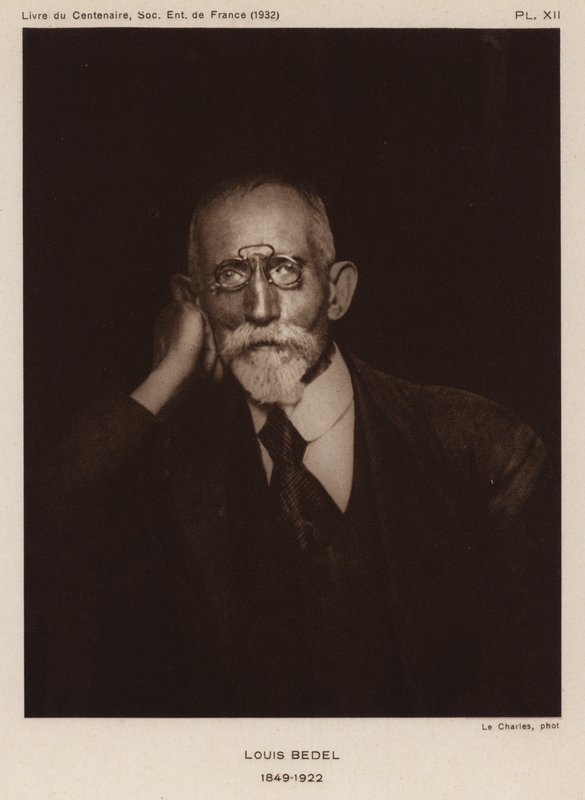 Ernest Marie Louis Bedel, ranskalainen hyönteistutkija (m/w kuva) tekijältä Photographer French