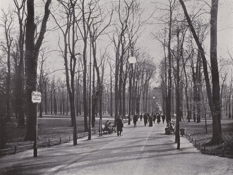 In the Tiergarten, Ahornsteig (m/w kuva) tekijältä Photographer German