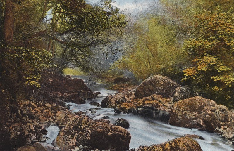 Irlanti: In The Dargle, County Wicklow (värillinen valokuva) tekijältä Photographer Irish