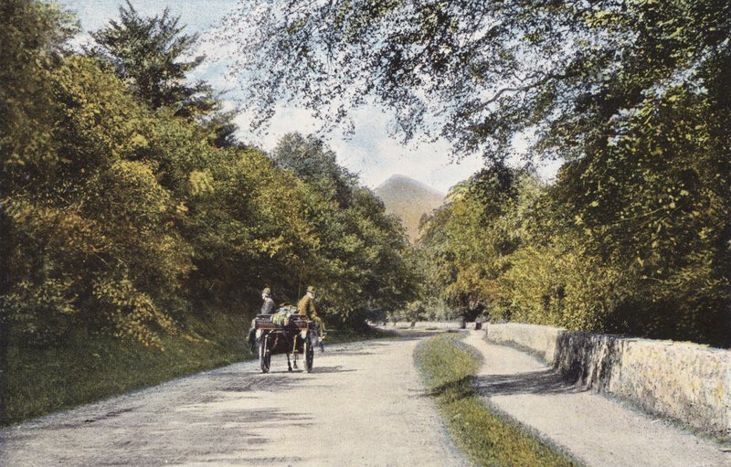 Irlanti: The Glen of the Downs, Sugar Loaf Mountain, Wicklow