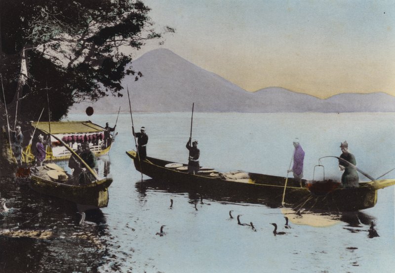 Japani, n. 1912: Kalastus merimetsolla, Nagaragawa (kuva) tekijältä Photographer Japanese