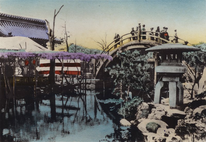 Japani, n. 1912: Kameidon temppelin maaperä Wisteria kukkii toukokuussa ja Drum Bridge -sillassa (kuva) tekijältä Photographer Japanese