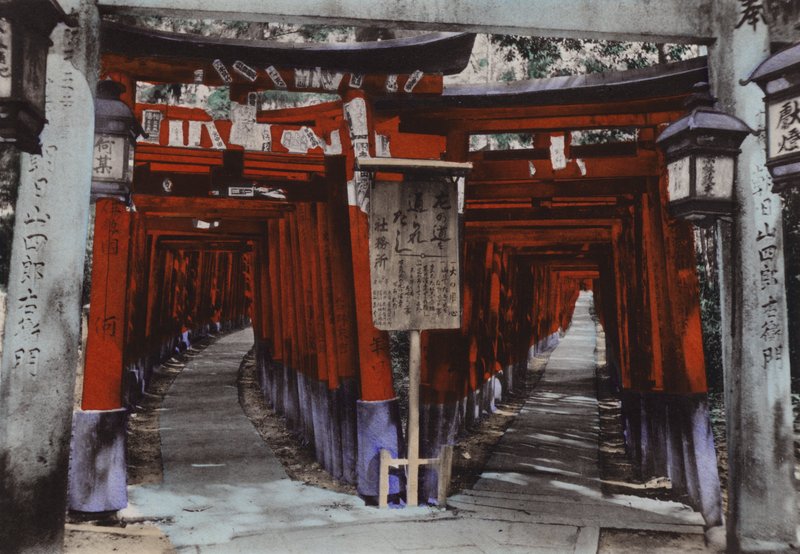 Japani, n. 1912: Torii Avenues, Fushimin pyhäkkö Kioton lähellä (kuva) tekijältä Photographer Japanese