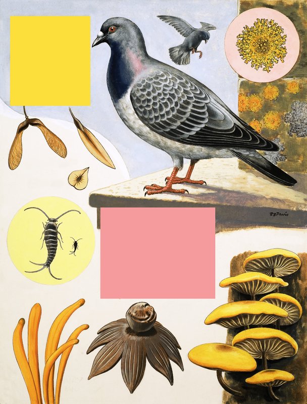 Maaseutu joulukuussa tekijältä R.B. Davis