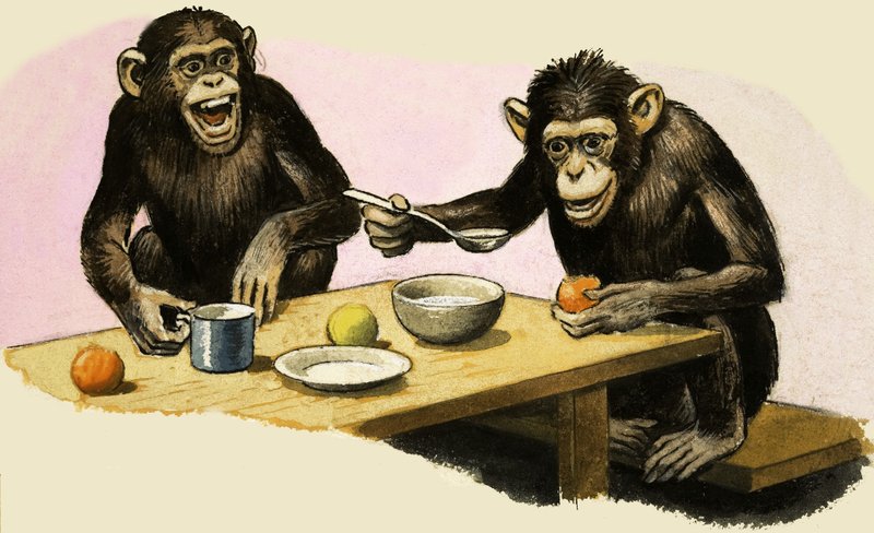 Z kuten Zoo. Simpanssin teekutsut tekijältä R.B. Davis