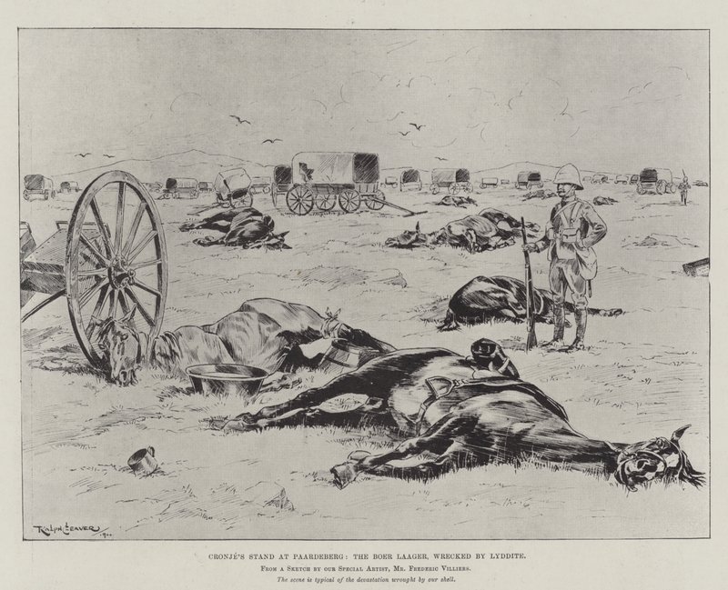 Cronjen osasto Paardebergissä, Boer Laager, Lydditen haaksirikkoama tekijältä Ralph Cleaver