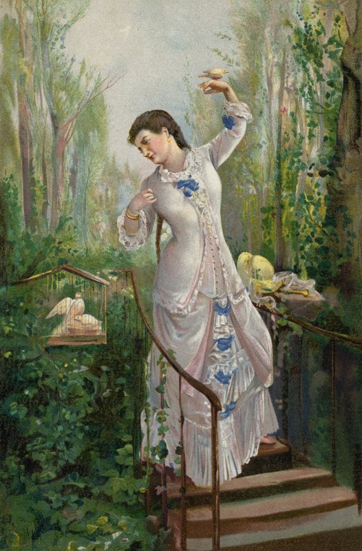 Turtle Dove Mother (chromolitho) tekijältä Ramón Martí Alsina