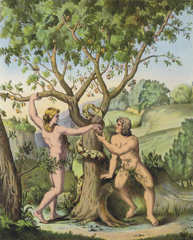 Eeva esittelee omenan hyvän ja pahan tiedon puusta Aadamille (väri litho) tekijältä after Raphael