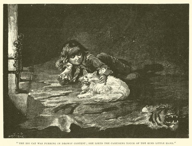 Kuvitus Little Lord Fauntleroylle tekijältä Reginald Bathurst Birch