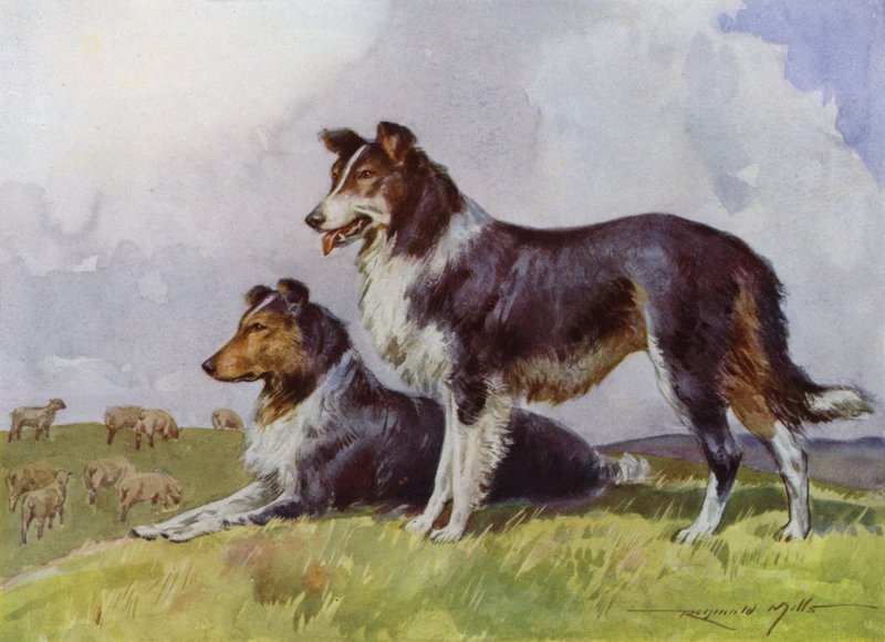 Kuvitus My Farm (väri litho) tekijältä Reginald Mills