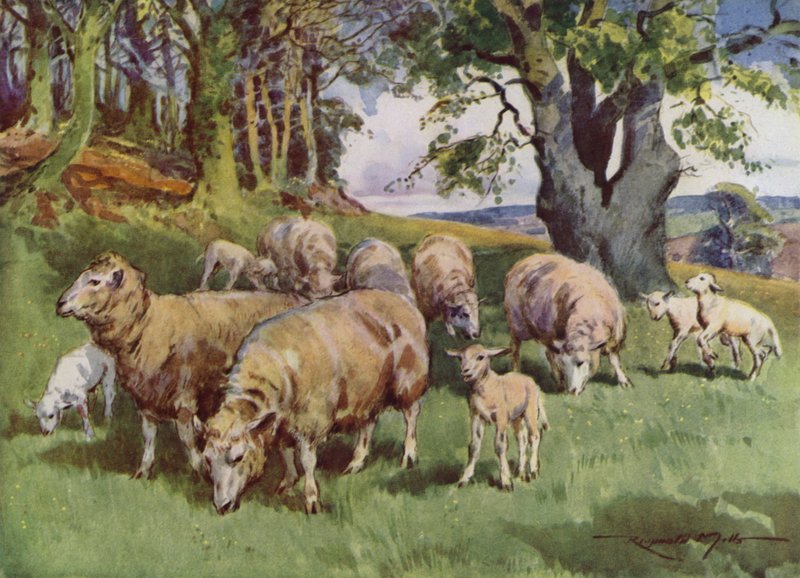 Kuvitus My Farm (väri litho) tekijältä Reginald Mills