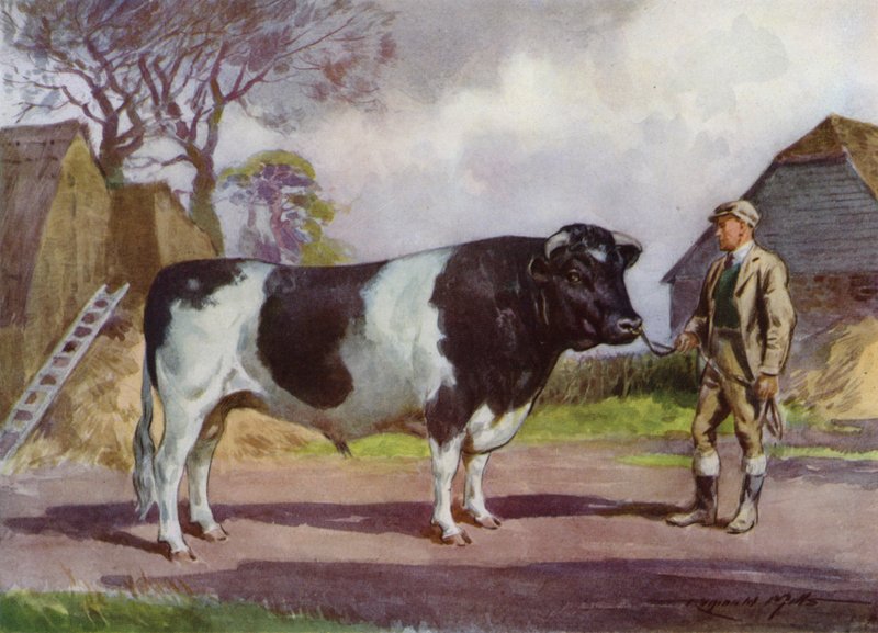 Kuvitus My Farm (väri litho) tekijältä Reginald Mills