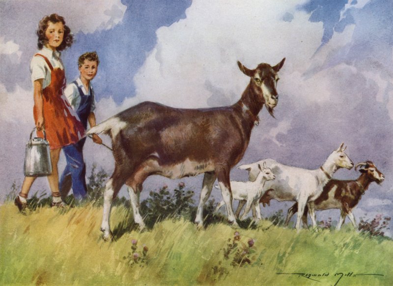 Kuvitus My Farm (väri litho) tekijältä Reginald Mills