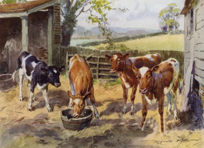 Kuvitus My Farm (väri litho) tekijältä Reginald Mills