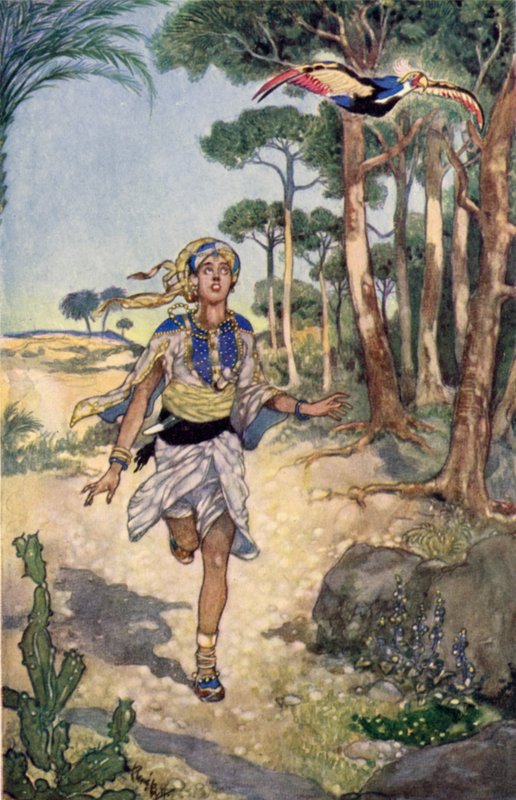 Seuraavana aamuna hän seurasi lintua sen lentäessä puusta puuhun (väri litho) tekijältä René Bull