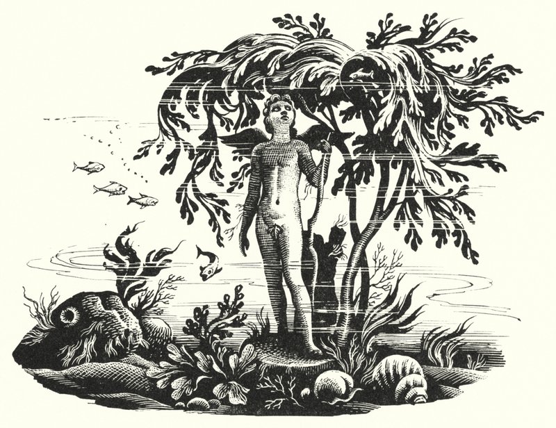 Hans Christian Andersen: Pieni merenneito (litho) tekijältä Rex (after) Whistler