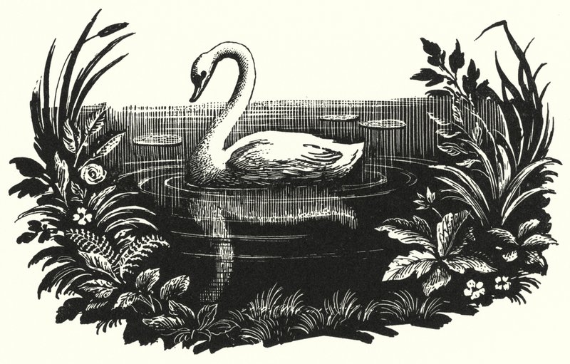 Hans Christian Andersen: Ruma ankanpoikanen (litho) tekijältä Rex (after) Whistler