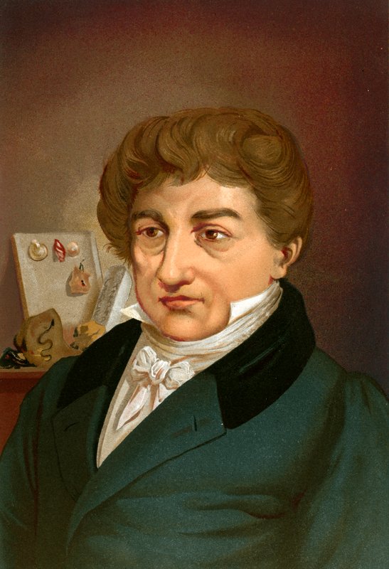 Georges cuvier tekijältä Ricardo Marti