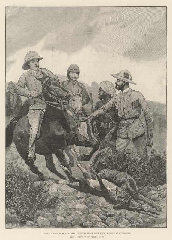 Prinssi Albert Victor Intiassa metsästämässä Black Buckia gepardin kanssa Hyderabadissa tekijältä Richard Caton Woodville junior