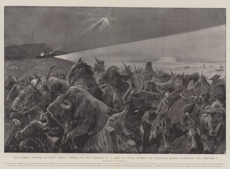 Guerilla Warfare Etelä-Afrikassa, kenraali De Wet, näyttelijä karjalauma, ryntäämässä Kroonstad-Lindley Blockhouse Line -linjalla, 6. helmikuuta tekijältä Richard Caton Woodville junior