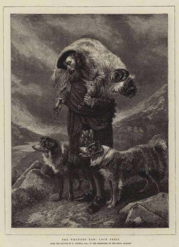 The Wounded Ram, Loch Freig -kaiverrus tekijältä Richard Ansdell