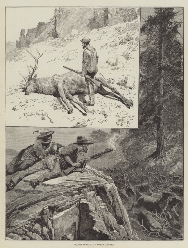 Wapiti-metsästys Pohjois-Amerikassa (kaiverrus) tekijältä Richard Caton II (after) Woodville