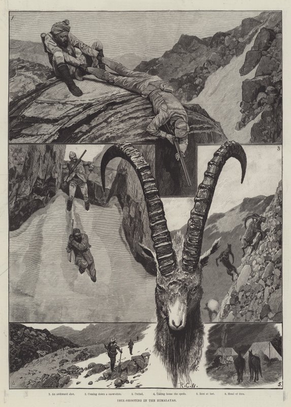 Ibex-Shooting in the Himalayas kaiverrus tekijältä Richard Caton Woodville junior