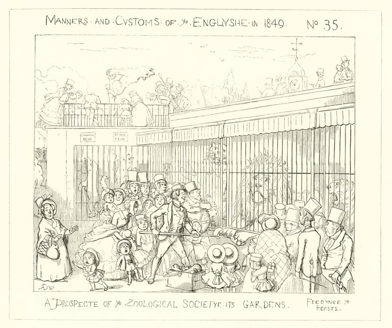 1849, Zoological Societyn puutarhojen mahdollisuus tekijältä Richard Doyle