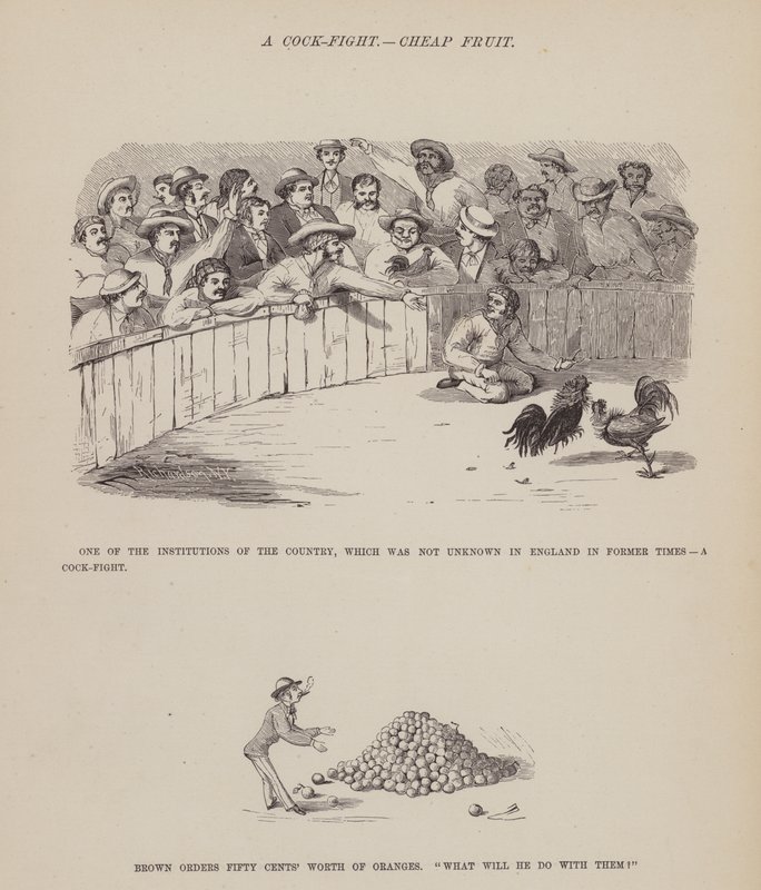 Sivu teoksesta The American Tour of Messrs Brown, Jones and Robinson (kaiverrus). tekijältä Richard Doyle