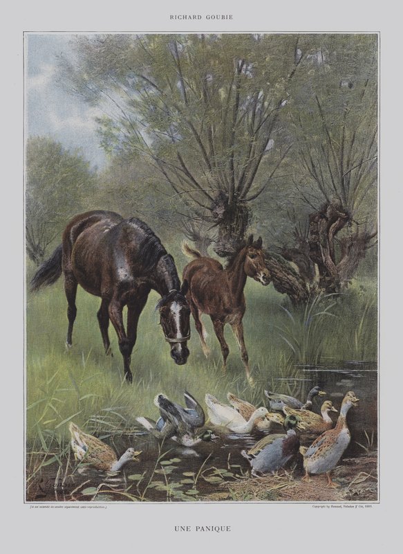 Paniikki tekijältä Richard Doyle