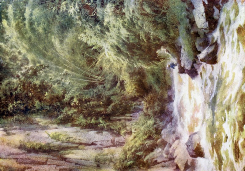 Mountain Torrent tekijältä Robert George Talbot Kelly