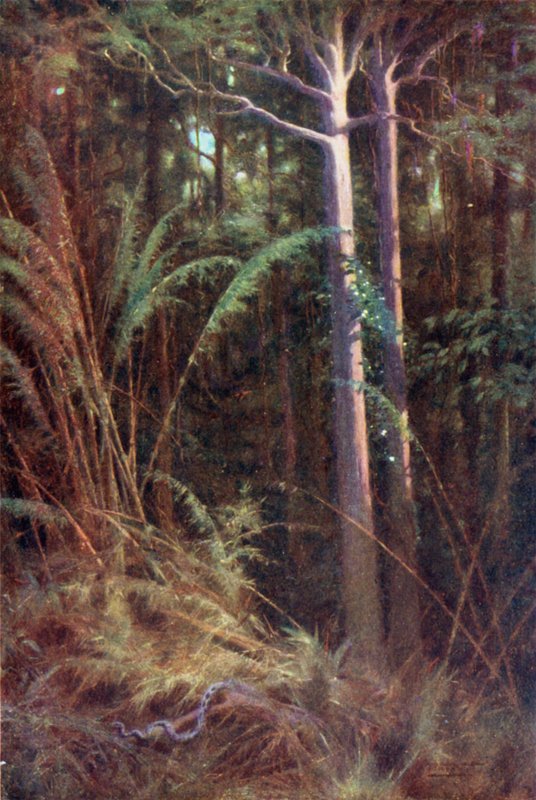 Metsän syvyyksissä tekijältä Robert George Talbot Kelly