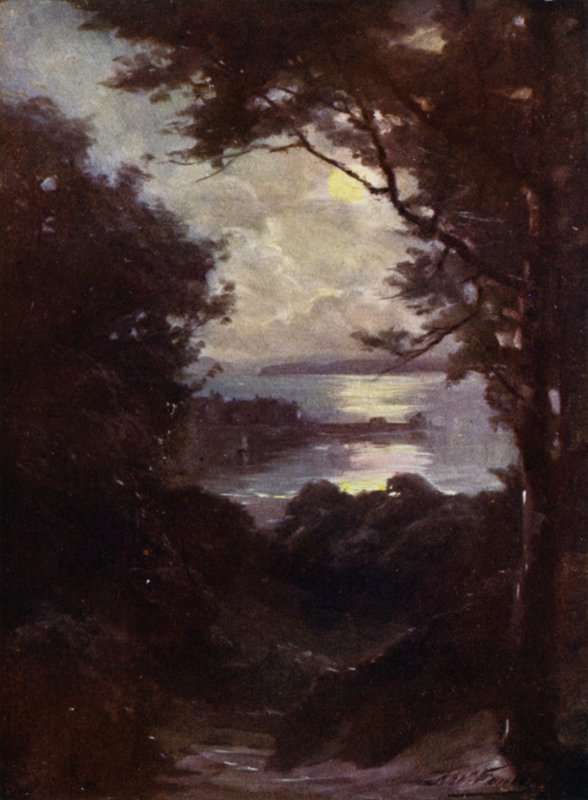Beaumaris, Moonlight (väri litho) tekijältä Robert (after) Fowler
