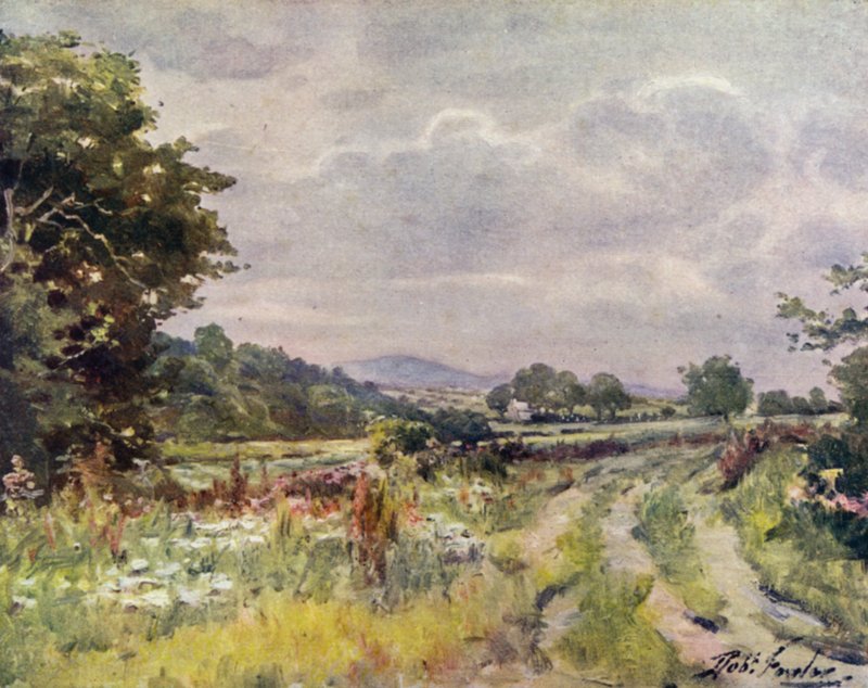 Country Lane (väri litho) tekijältä Robert (after) Fowler