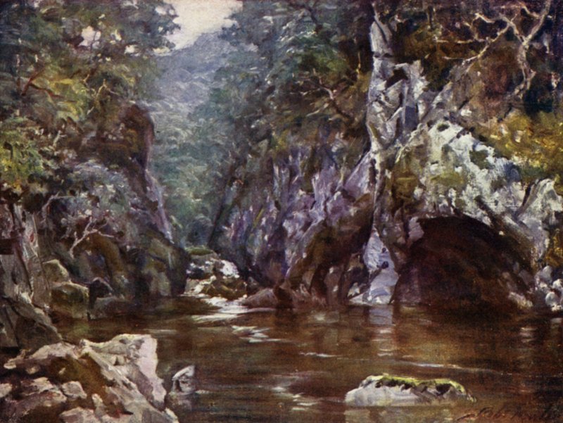 Fairy Glen, Bettws-y-Coed (väri litho) tekijältä Robert (after) Fowler