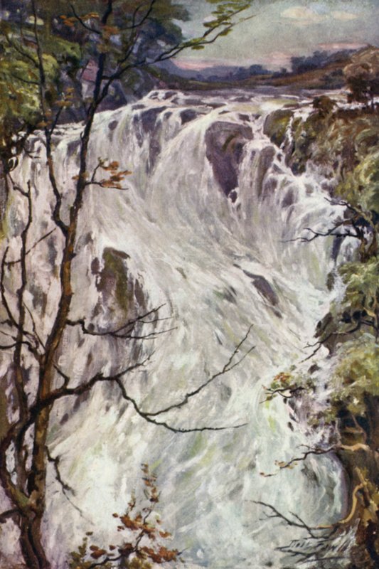 Swallow Falls, Bettws-y-Coed (väri litho) tekijältä Robert (after) Fowler