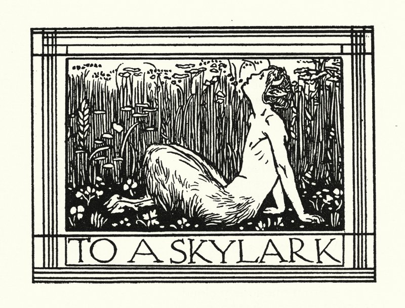 Shelley: To A Skylark (litografia) tekijältä Robert Anning Bell